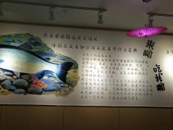蒸鱼头彩绘