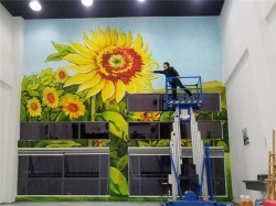 东莞市文化馆墙体彩绘【幼儿园墙绘】